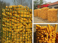 圈玉米電焊網(wǎng)04